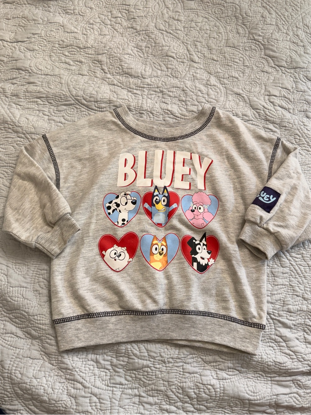 Bluey Heart Character Pullover Sweatshirt - Light Gray